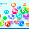 Complex of minerals - Gluconol Composition 